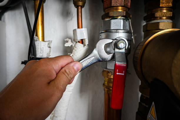Best Commercial Plumbing Services  in Mooresville, IN